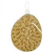Body Benefits 2 Faux Sea Sponges