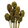 thumbnail image 2 of Vickerman 18-24" Basil Platy Cone attached to a Reed Stem.  Includes 20 Stems per Pack, Dried, 2 of 5