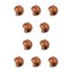 thumbnail image 1 of Methold Casco Suministros para mascotas pequeñas Sombreros duros Disfraces Accesorios Equipo Sombreros Gorras Aves de corral Pollo Pájaro Patitos oso llevar 10piezas Methold CBP381235, 1 of 5