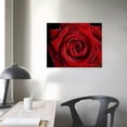 thumbnail image 3 of Wuche  Flower Canvas Wall Art Dew on the Red Rose Pictures for Girls Room Home Decoration Modern Giclee Landscape Painting, 3 of 4