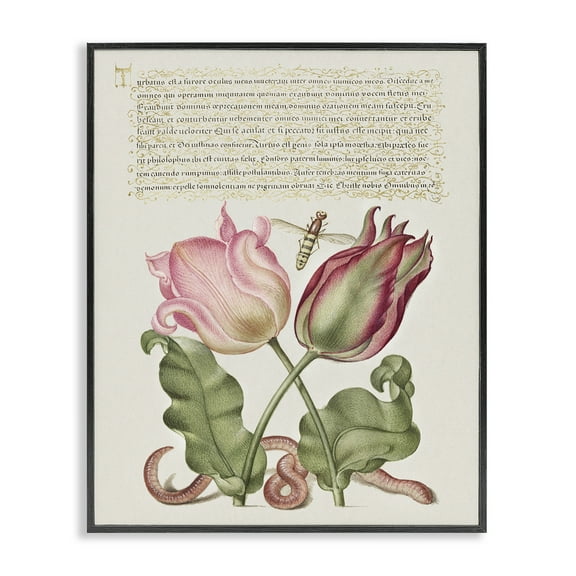 Stupell Industries Tulips & Insects Antique Text & Numbers Painting Black Framed Art Print Wall Art, 11 x 14