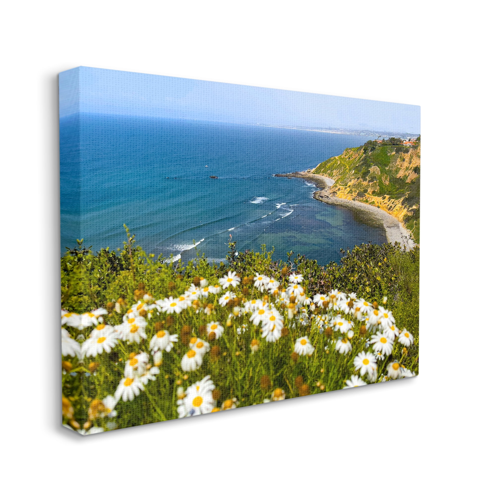 Stupell Industries Meadow over Ocean Tide Landscape Photography Gallery Wrapped Canvas Art Print Wall Art, 40 x 30