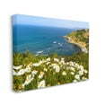 thumbnail image 4 of Stupell Industries Meadow over Ocean Tide Landscape Photography Gallery Wrapped Canvas Art Print Wall Art, 20 x 16, 4 of 8