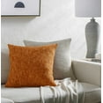 thumbnail image 2 of Hauteloom Rapha Throw Pillow, 2 of 2