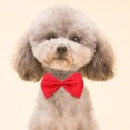 thumbnail image 2 of VERDANVERSE 10Ud Para Perro Con Ajustable Adorable Y Materiales Resistentes Para, 2 of 6