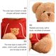 thumbnail image 3 of RV Bear Toys Muñeco de Peluche Ragdoll de Peluche, Oso con suéter Rojo, C Rojo Verde, 3 of 5
