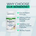 thumbnail image 3 of NF Sports Berberine 500 mg, Blood Sugar and Metabolism Support, Vegan, Non-GMO, 60 Capsules, 3 of 5