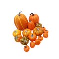thumbnail image 3 of 16 piezas de calabazas artificiales de espuma, accesorios para fotos, estante de otoño, decoración de Halloween, calabazas de simulación para fiesta, 3 of 8
