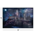 thumbnail image 3 of Movie Posters USA Harry Potter Framed Poster, 24" x 36", 3 of 6