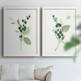 thumbnail image 6 of Sprigs in Green I - Premium Framed Canvas 2 Piece Set - Ready to Hang, 6 of 7