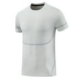 thumbnail image 1 of Men's Thin Summer Ice Silk Short Sleeve T - Shirt - Breathable for Running and Training, 1 of 5