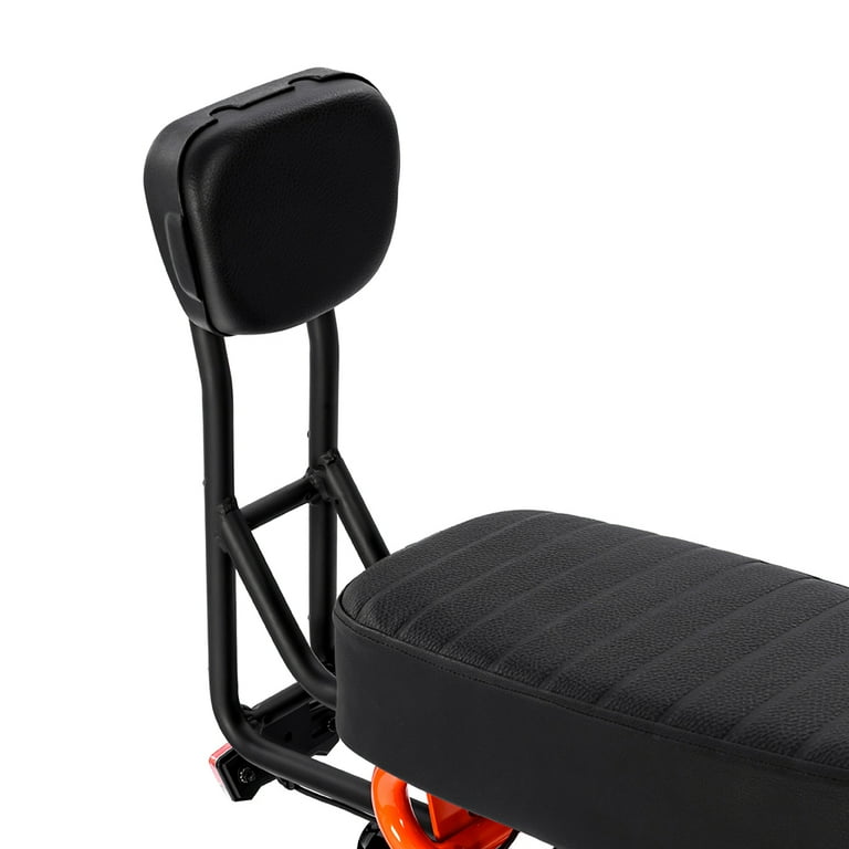 Backrest best sale for bike