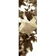 thumbnail image 2 of Blaustein, Alan 11x24 Black Ornate Wood Framed with Double Matting Museum Art Print Titled - Florison - 78, 2 of 4
