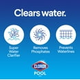 Clorox Pool&Spa 3in1 XtraBlue Pool Clarifier for Swimming Pools, 32