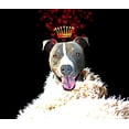 thumbnail image 2 of Lavoie, Tina 17x15 Black Ornate Wood Framed with Double Matting Museum Art Print Titled - Royal Love Pup - Pit Bull Terrier, 2 of 4