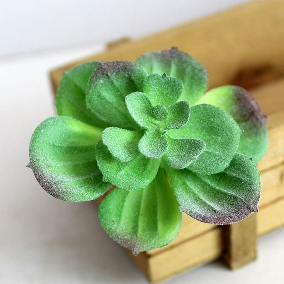 KDJ Artifical Plastic Succulent Plant Echeveria Flower Home Office Decor - for Home Decor
