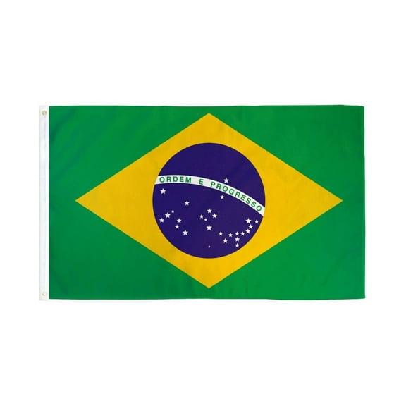 Brazil Flag 2x3ft Poly
