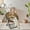 Brown 100 (Plush 1245) Black Legs, variant on Studyset Simple Deluxe Saucer Chair, Round Foldable Reading Chairs,Cozy Papasan Chair, Furry Padded Moon Chair, Round Dorm Chairs for Bedroom Living Room