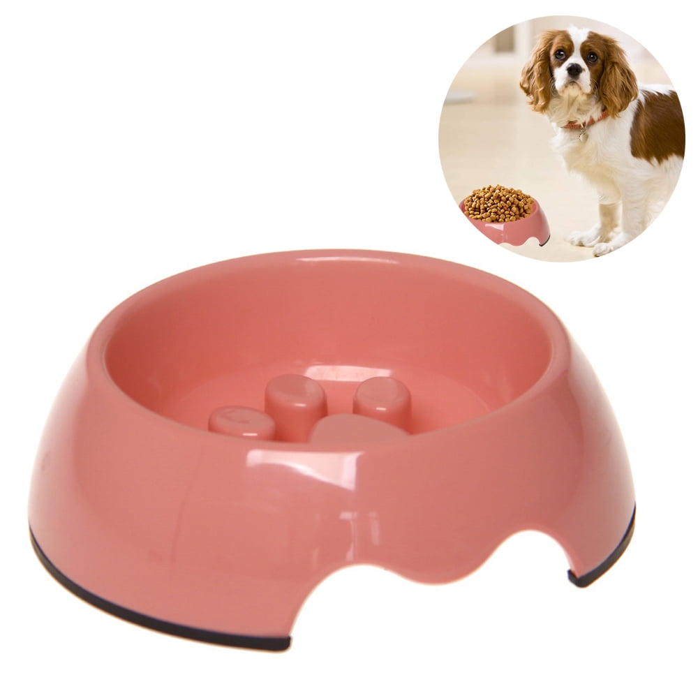 bowl to stop dog eating fast