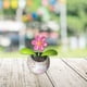 thumbnail image 2 of Kearding Maceta con energía solar Columpio de baile Gadgets de alféizar Decoraciones interiores de automóviles Girasol Decoración de Decoración del hogar flor de seis petalos, 2 of 6