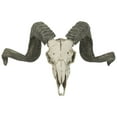 thumbnail image 6 of Design Toscano Corsican Ram Skull and Horns Wall Trophy, 6 of 7