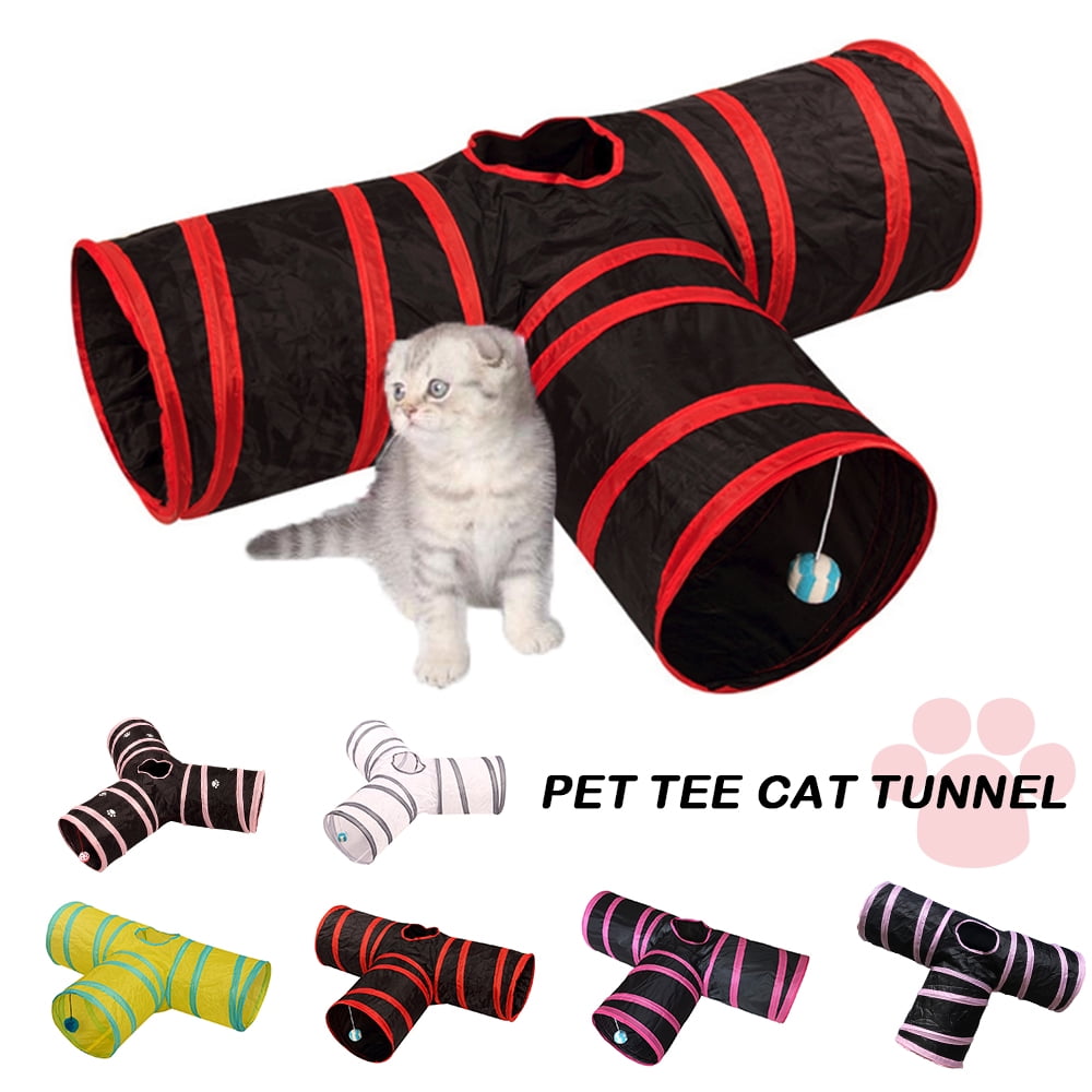cat entertainment toys