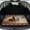 Aztec Horse, variant on HUISEFOR Sea Turtle Flowers Car Trunk Mat for Women All Weather Trunk Protection Cargo Liner Non-Slip Easy Installation Fits for Most Cars SUV