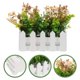 thumbnail image 1 of unbranded Arreglo De Flores Artificiales Margaritas Para Centro De En Y Oficina, 1 of 8