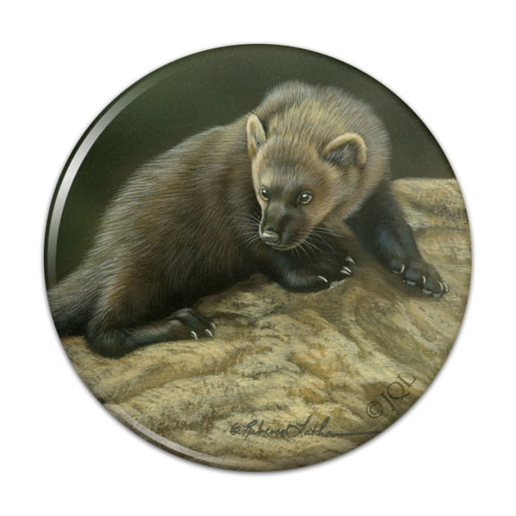 Fisher Cat Pinback Button Pin