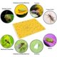 thumbnail image 4 of Paquete de 20 trampas adhesivas amarillas de doble cara para insectos voladores como mosquitos de hongos, moscas blancas, pulgones, minadores de hojas y trips (6" x 10") Sincero Electrónica, 4 of 5