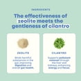 thumbnail image 5 of JoySpring DetoxZee Cilantro Drops for Kids - Natural Detox Support with Zeolite & Cilantro Extract, 5 of 7