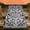 Baroque Filigree Ornament, variant on ARTSLION Waterproof Fitted Rectangle Tablecloth With Elastic Edge, Wipeable Table Cover For 6 Ft Tables With Umbrella Hole, Perfect For Outdoor Picnic & Camping,30x96 In,Butterfly And Flowers