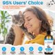 thumbnail image 3 of Suplemento de L-lisina para gatos Lazersell Immune Support, 3 of 9