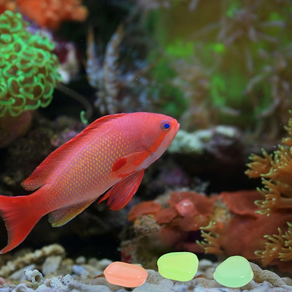 Worgeous 400Pcs Multi-Colored Resin Glow-in-the-Dark Pebbles for Indoor and Outdoor Decoration