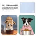 thumbnail image 3 of unbranded Tapete Reutilizable Para Comedero De Y Perros Con Textura Antideslizante Y Absorbente, 3 of 6