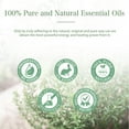 thumbnail image 6 of PHATOIL 100ml/3.38 fl.Oz Thyme Essential Oils for Diffusers Humidifier, Therapeutic Grade, 100% Pure Natural, 6 of 8