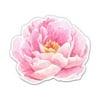 Peony Flower - 3" Vinyl Sticker - For Car Laptop I-Pad Phone Helmet Hard Hat - Waterproof Decal