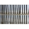 thumbnail image 2 of Peterson, Lee 32x23 Gold Ornate Wood Framed with Double Matting Museum Art Print Titled - Pier Pilings II3, 2 of 4