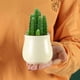 thumbnail image 4 of Kearding Maceta de a la moda para plantas suculentas, maceta para flores, dormitorio, cabecera, jardinería, flores, patio, plantación para Jardín y Patio Rosado, 4 of 6