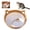 Large, variant on Cat Bed with Removable Cushion, Handwoven Cotton Rope Basket Bed for Indoor Cats