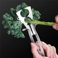 thumbnail image 6 of Stainless Steel Herb Stripper Tool Vegetable Kale Chard Rosemary Leaf Stripping, 6 of 6