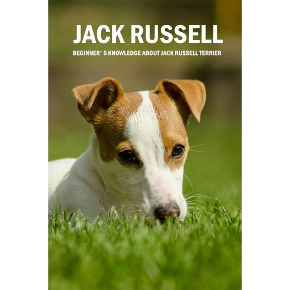 Jack Russell : Beginner' s Knowledge About Jack Russell Terrier: Dog Lovers Book (Paperback)
