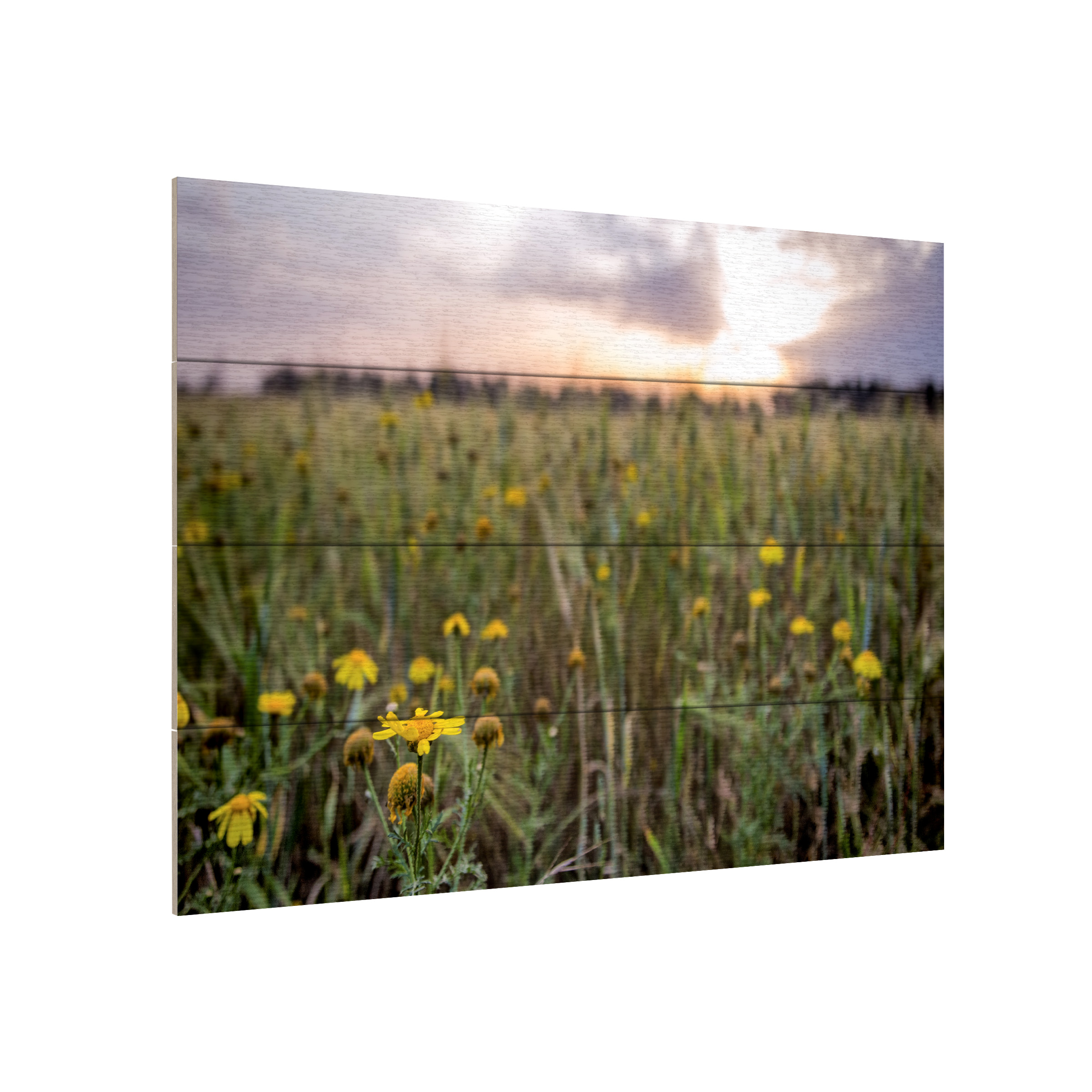 Giuseppe Torre 'Flowers In The Sunset' Wood Slat Art 12x16