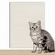 thumbnail image 2 of Alfombra rascadora para Gatos, protección para el sofá, Gatos, Alfombrilla rascador para Gatos, autoadhesiva, Gato trepador, para Gatos, 2 of 2