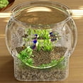 thumbnail image 4 of Round Clear Desktop Aquarium Fish Bowl for Betta Fish & Turtles, 4 of 7
