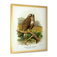 thumbnail image 2 of Designart 'Ancient Bird Life IX' Traditional Framed Art Print, 2 of 4