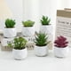 thumbnail image 4 of Zhuge 3 piezas de plantas de simulación en maceta, pequeñas plantas falsas en maceta, mini plantas artificiales de escritorio (A39), 4 of 5