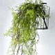 thumbnail image 5 of pstuiky Simulación de arista verde planta de ratán césped aire acondicionado tubería fuente de agua pecera plantas acuáticas decoración de plástico., 5 of 6