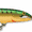 Green Mackerel, variant on Rapala CDMAG18GM Count Down Magnum Fishing Lure 7" 2 3/8 oz Green Mackerel