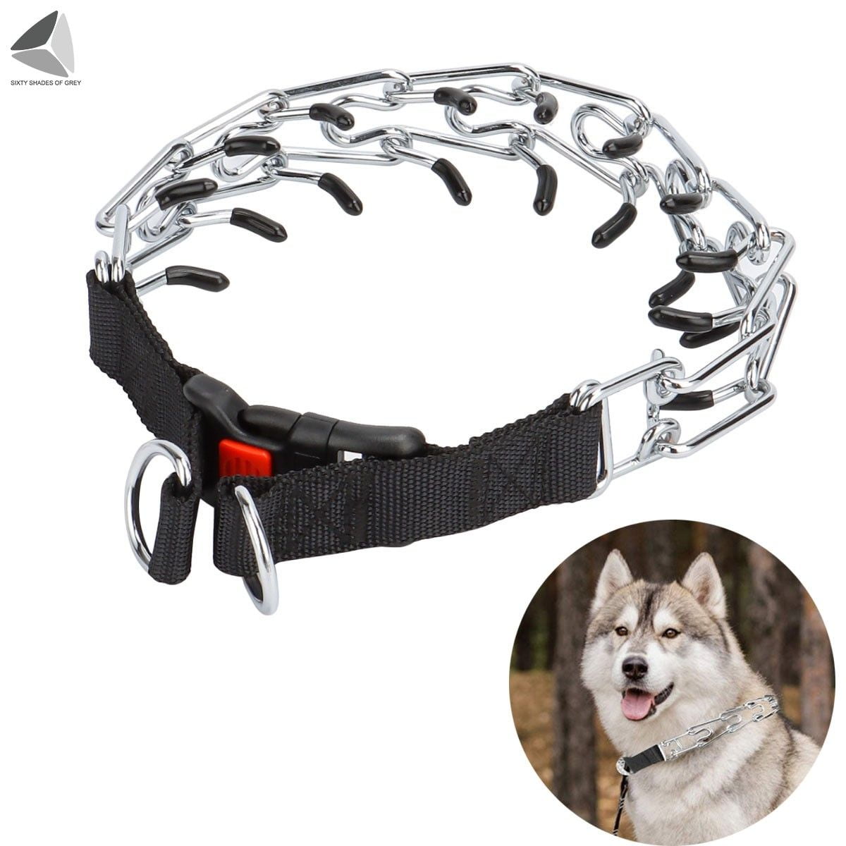 Are Choke Collars Bad For Dogs
